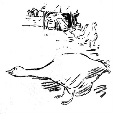 Les oies (Bonnard) Les oies (Bonnard)