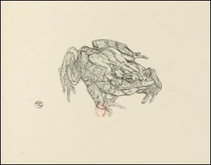 Le crapaud (Lautrec) Le crapaud (Lautrec)