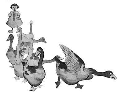 Les oies (Rabier) Les oies (Rabier)